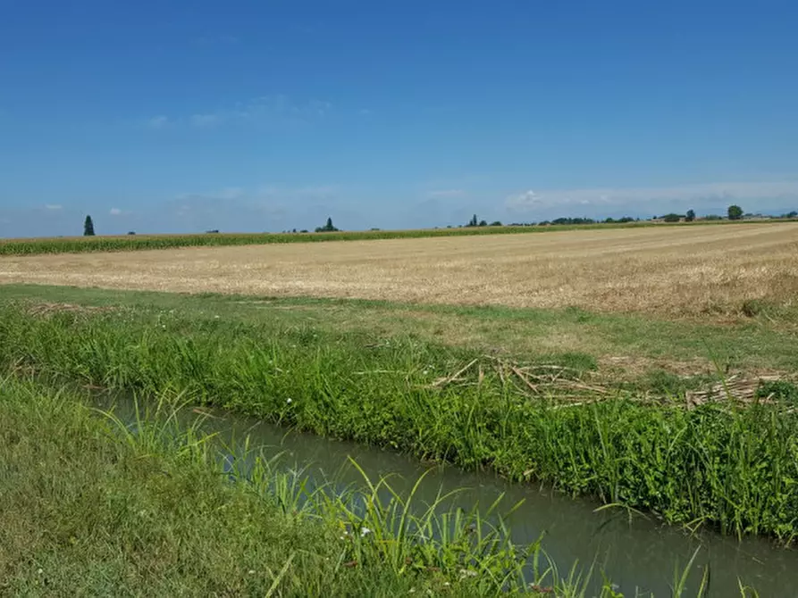 Immagine 7 di Terreno in vendita  in Via 28 aprile a Vescovana