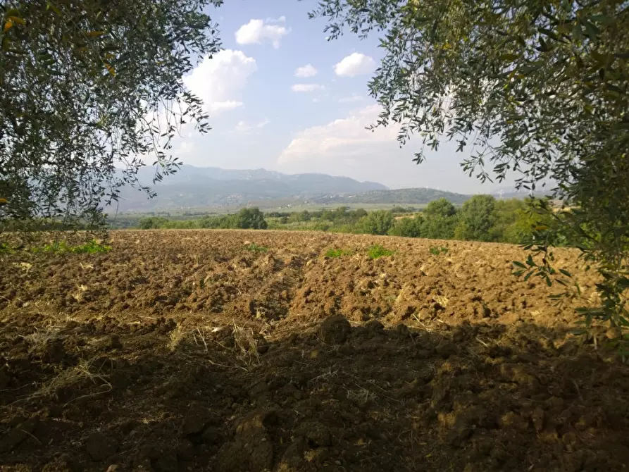 Immagine 3 di Terreno in vendita  in Contrada Pagliarone a Serre
