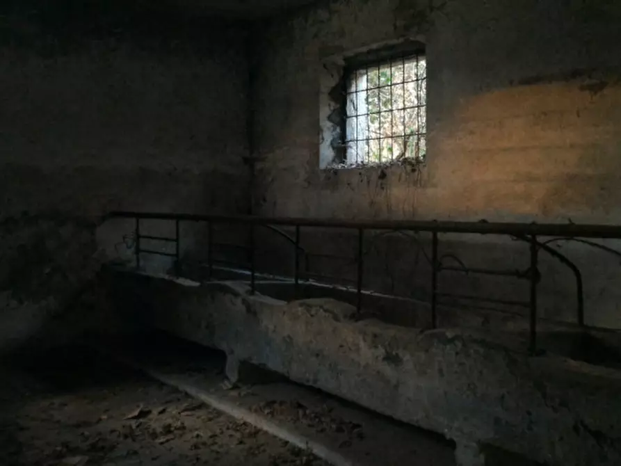 Immagine 6 di Rustico / casale in vendita  a Sora