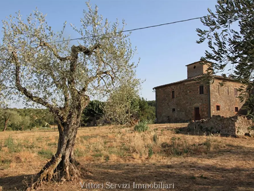 Immagine 1 di Rustico / casale in vendita  in farnetella a Sinalunga