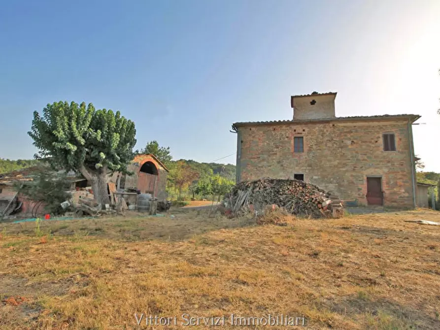 Immagine 4 di Rustico / casale in vendita  in farnetella a Sinalunga