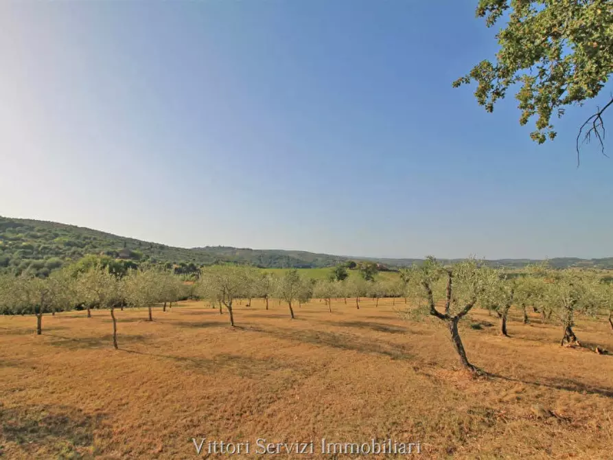 Immagine 7 di Rustico / casale in vendita  in farnetella a Sinalunga