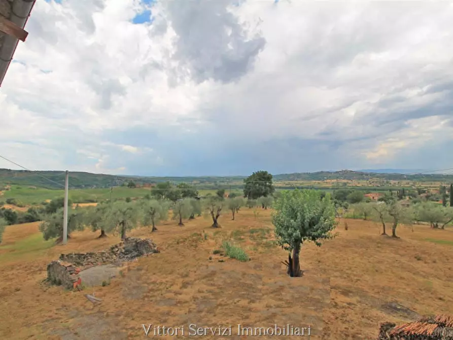 Immagine 24 di Rustico / casale in vendita  in farnetella a Sinalunga