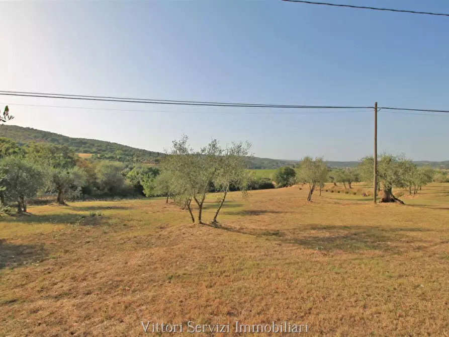 Immagine 25 di Rustico / casale in vendita  in farnetella a Sinalunga