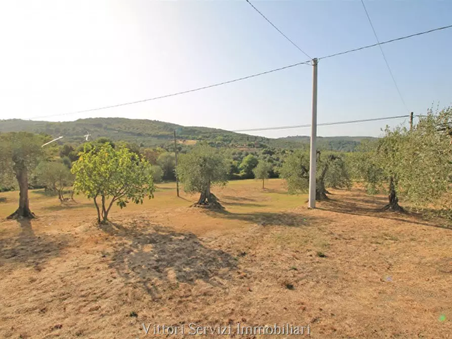 Immagine 27 di Rustico / casale in vendita  in farnetella a Sinalunga