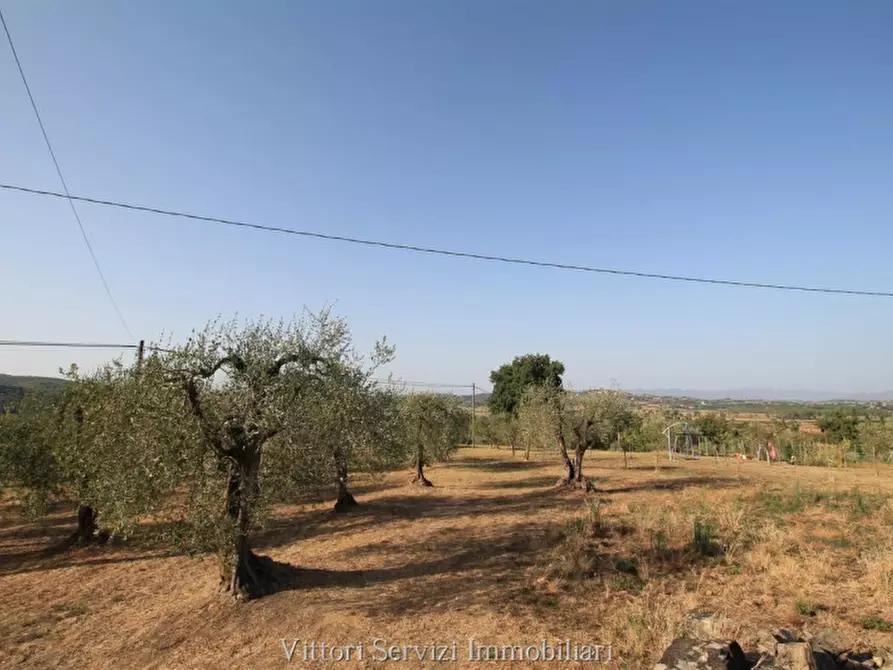 Immagine 28 di Rustico / casale in vendita  in farnetella a Sinalunga