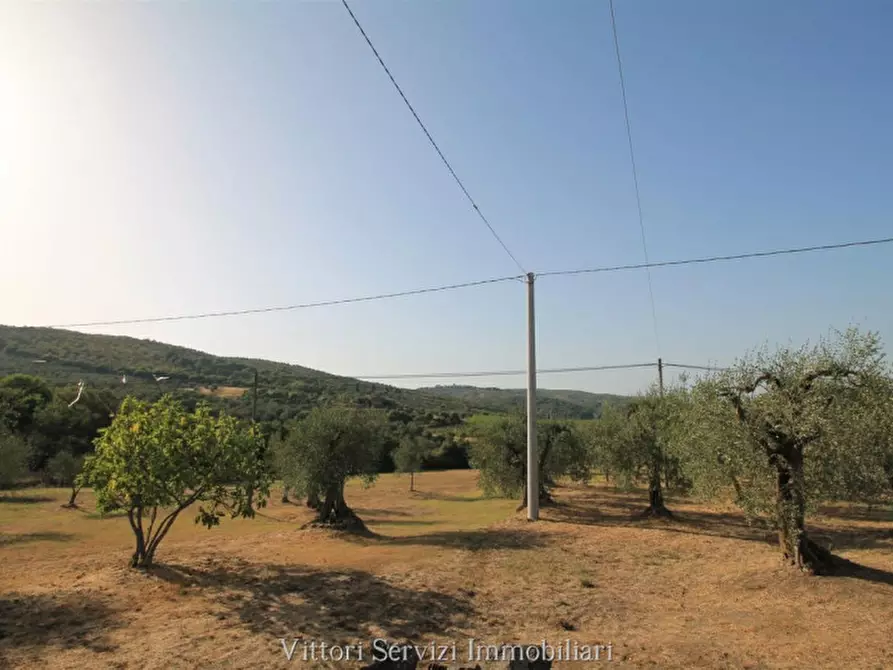 Immagine 29 di Rustico / casale in vendita  in farnetella a Sinalunga