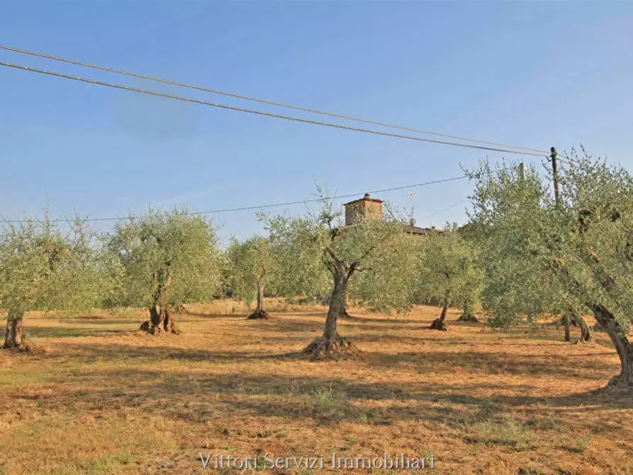 Immagine 30 di Rustico / casale in vendita  in farnetella a Sinalunga