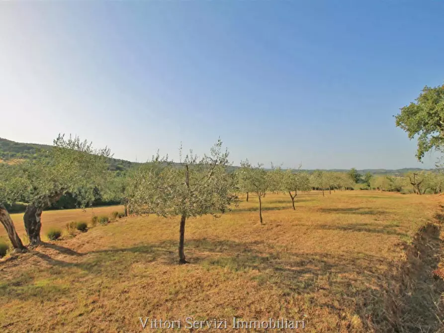 Immagine 31 di Rustico / casale in vendita  in farnetella a Sinalunga