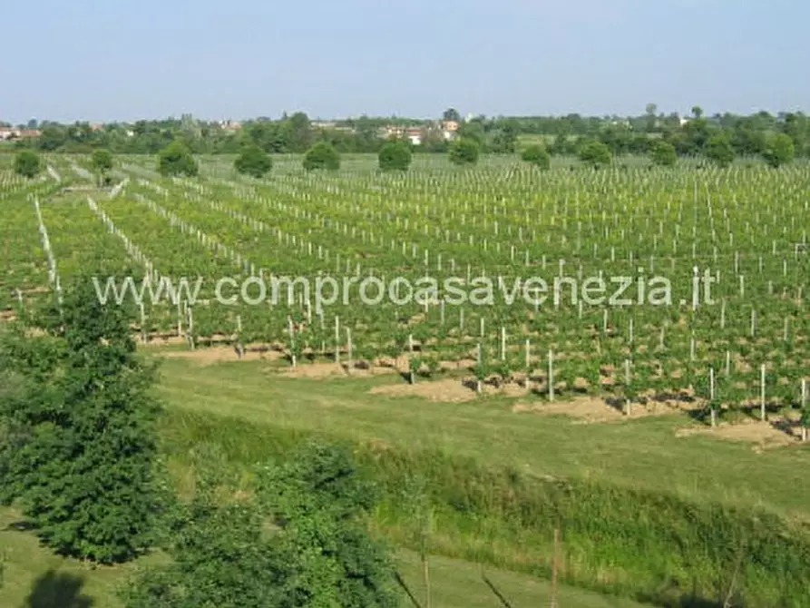 Immagine 1 di Terreno in vendita  in valladis a Portogruaro