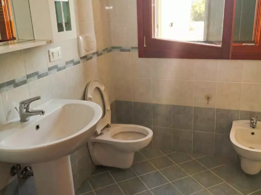 Immagine 5 di Appartamento in affitto  a Masi