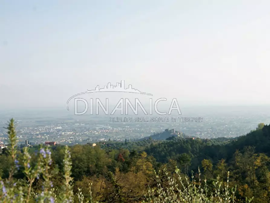 Immagine 4 di Rustico / casale in vendita  a Montecatini Terme