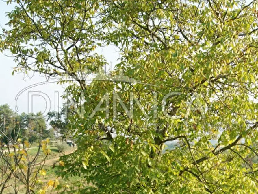 Immagine 33 di Rustico / casale in vendita  a Montecatini Terme