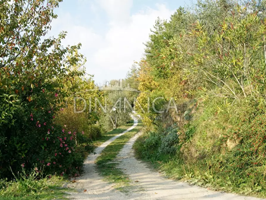 Immagine 40 di Rustico / casale in vendita  a Montecatini Terme