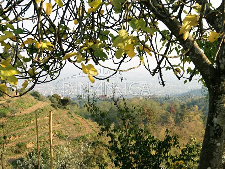 Immagine 41 di Rustico / casale in vendita  a Montecatini Terme