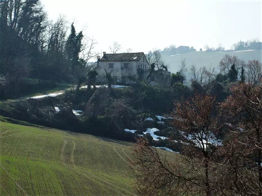 Immagine 6 di Rustico / casale in vendita  in via roma a Petriano