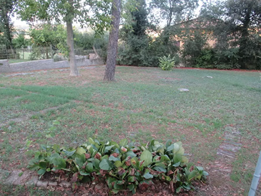 Immagine 65 di Casa indipendente in vendita  a Corinaldo