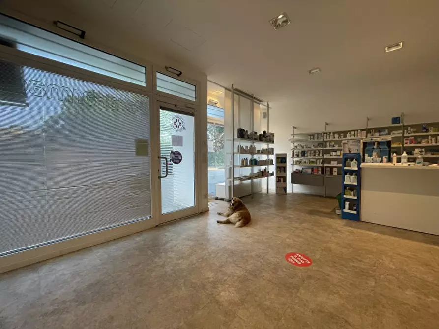 Immagine 6 di Negozio in affitto  in viale roma a Battaglia Terme