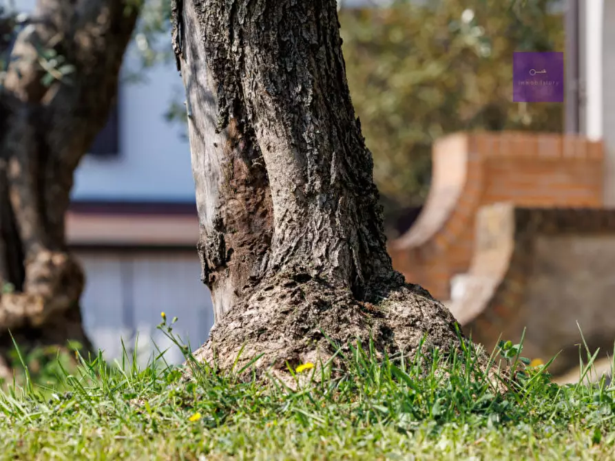 Immagine 37 di Villa in vendita  a Galzignano Terme