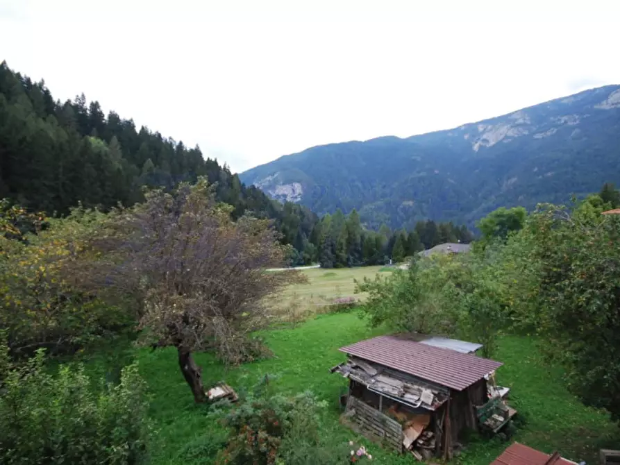 Immagine 13 di Appartamento in vendita  in Frazione Piniè a Vigo Di Cadore