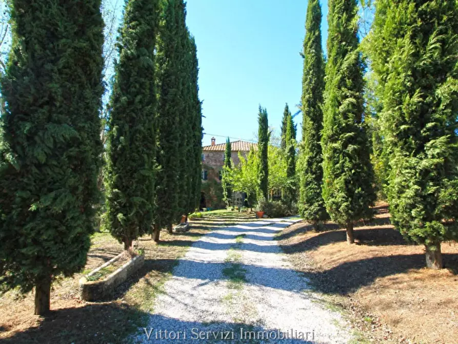 Immagine 3 di Rustico / casale in vendita  in sinalunga a Sinalunga