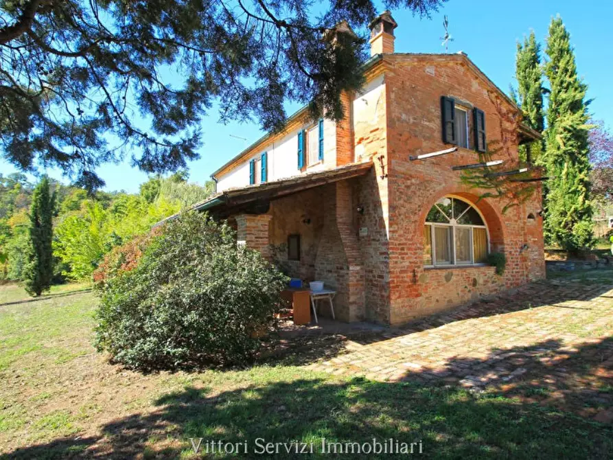 Immagine 4 di Rustico / casale in vendita  in sinalunga a Sinalunga