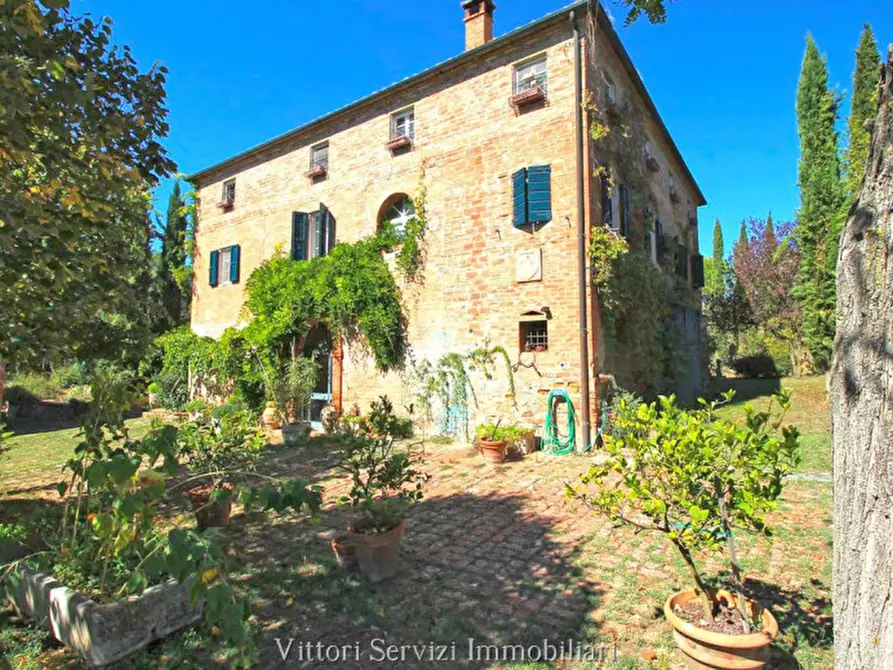 Immagine 6 di Rustico / casale in vendita  in sinalunga a Sinalunga