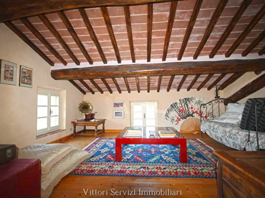 Immagine 22 di Rustico / casale in vendita  in sinalunga a Sinalunga