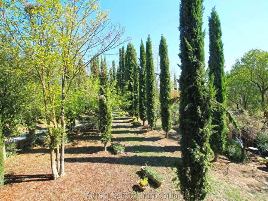 Immagine 29 di Rustico / casale in vendita  in sinalunga a Sinalunga