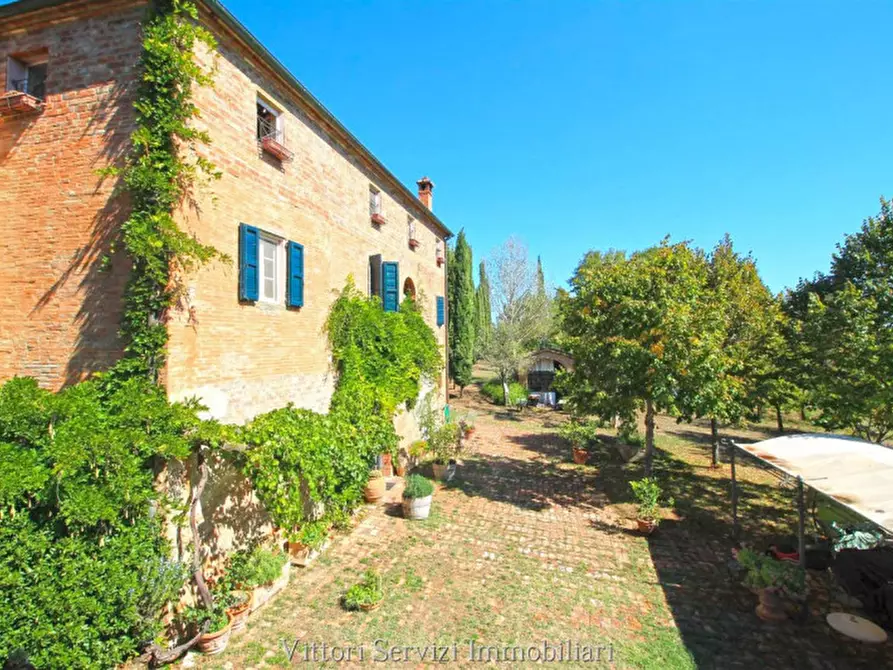 Immagine 60 di Rustico / casale in vendita  in sinalunga a Sinalunga