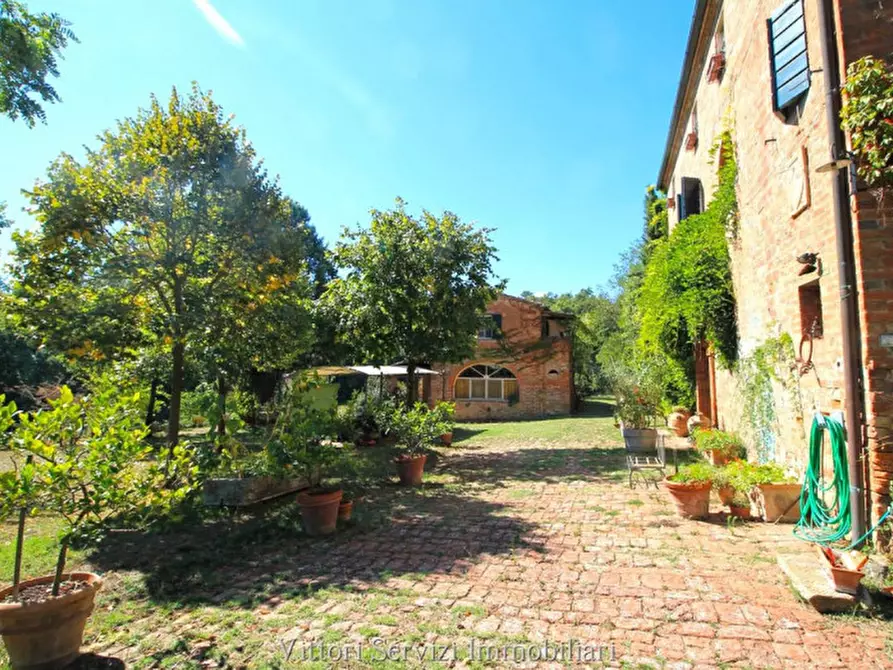 Immagine 62 di Rustico / casale in vendita  in sinalunga a Sinalunga