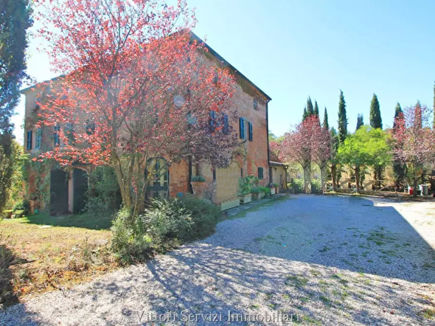 Immagine 65 di Rustico / casale in vendita  in sinalunga a Sinalunga