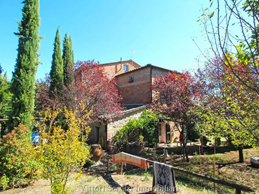 Immagine 66 di Rustico / casale in vendita  in sinalunga a Sinalunga