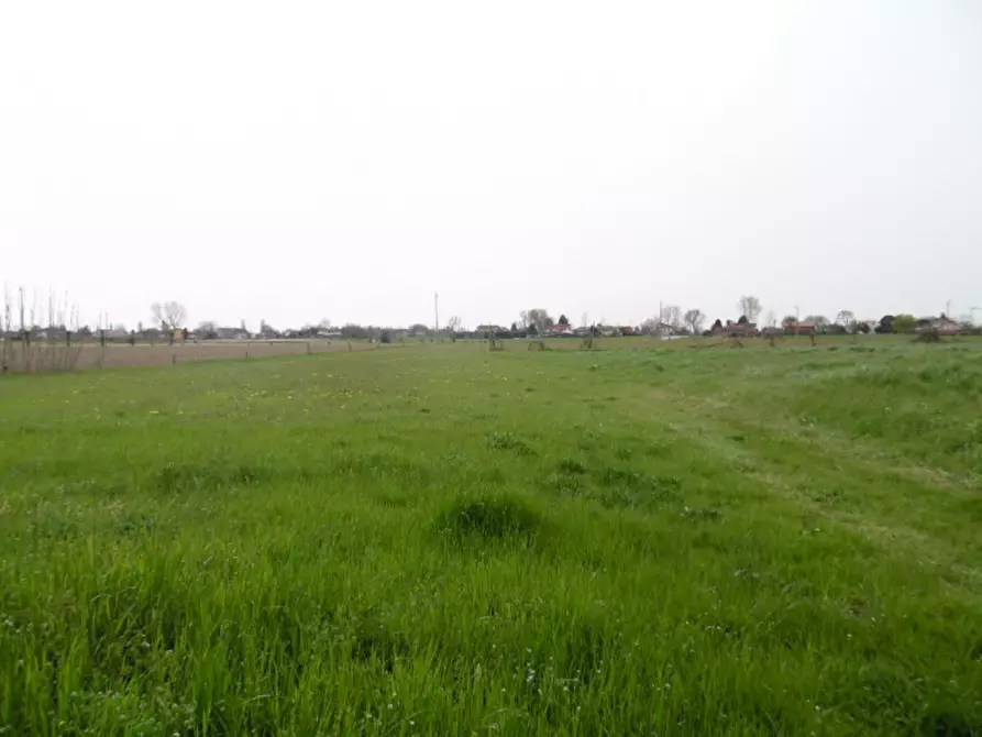 Immagine 1 di Terreno in vendita  a San Pietro Viminario