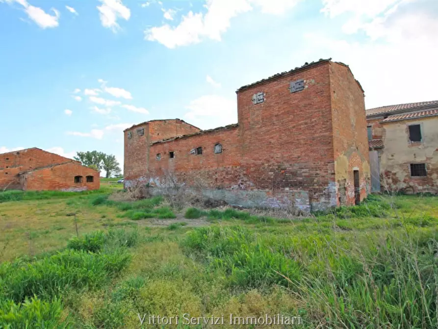 Immagine 4 di Rustico / casale in vendita  in via del progresso a Sinalunga