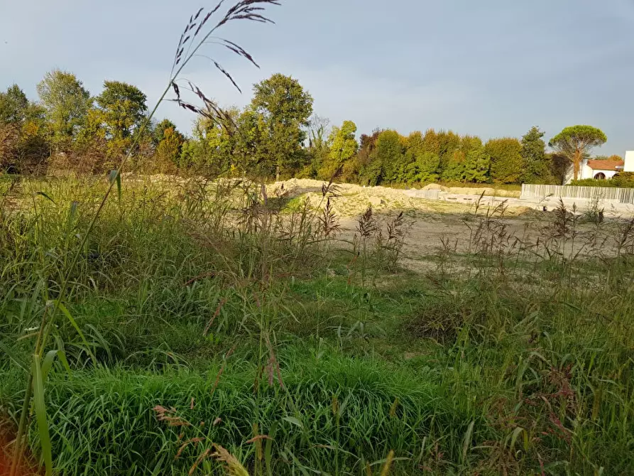 Immagine 1 di Terreno in vendita  a Vigodarzere