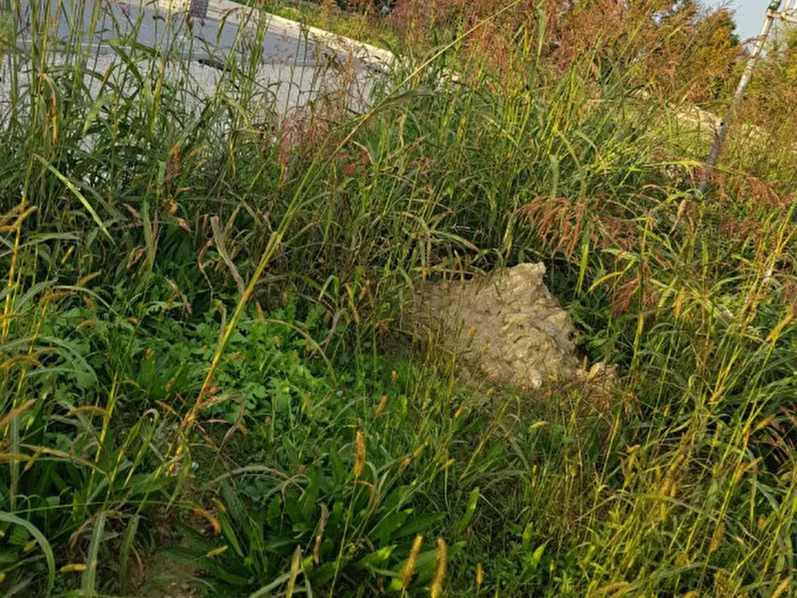 Immagine 3 di Terreno in vendita  a Vigodarzere