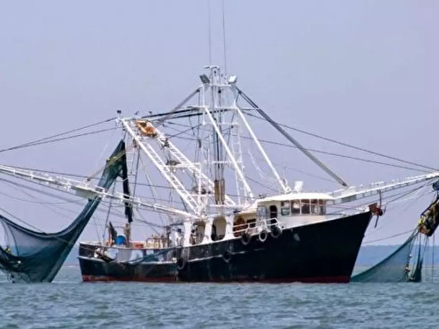 Immagine 3 di Terreno in vendita  in Via G. Matteotti n. 20 bis - Cavarzere a Chioggia