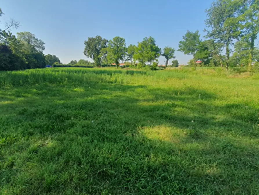 Immagine 5 di Rustico / casale in vendita  in PESEGGIA a Scorzè