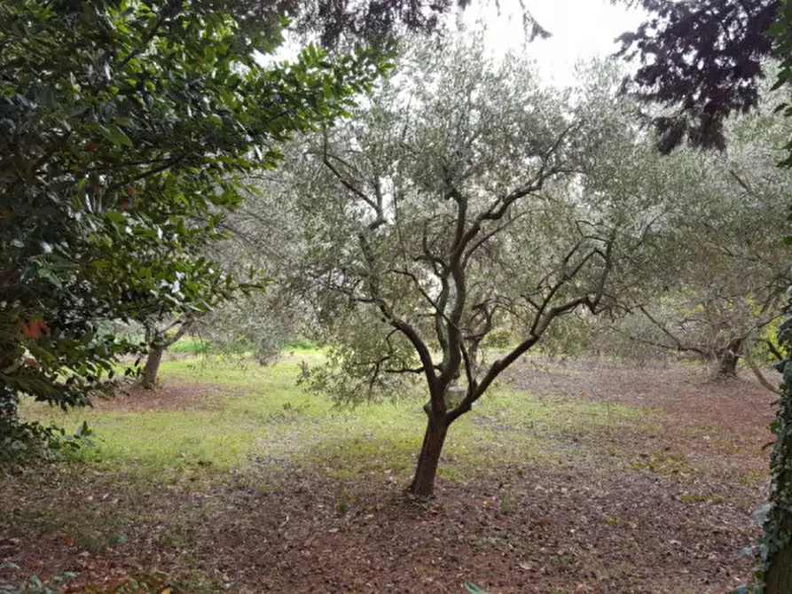 Immagine 38 di Villetta a schiera in vendita  a Corinaldo