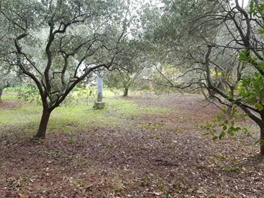 Immagine 52 di Villetta a schiera in vendita  a Corinaldo