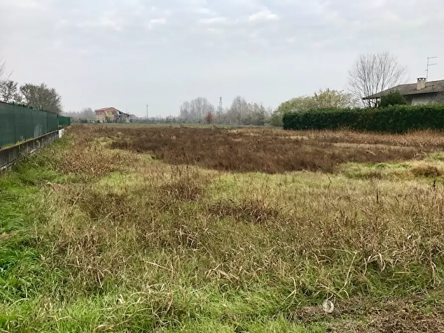 Immagine 2 di Terreno in vendita  a Veronella