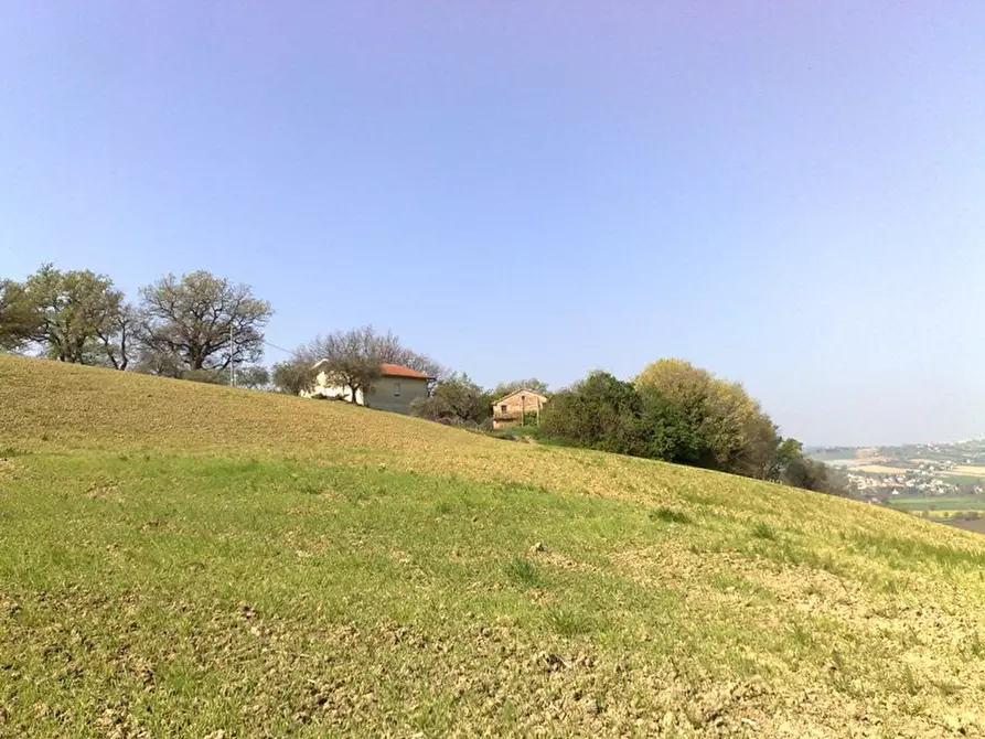 Immagine 3 di Rustico / casale in vendita  a Corinaldo