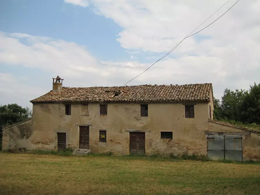 Immagine 4 di Rustico / casale in vendita  a Corinaldo