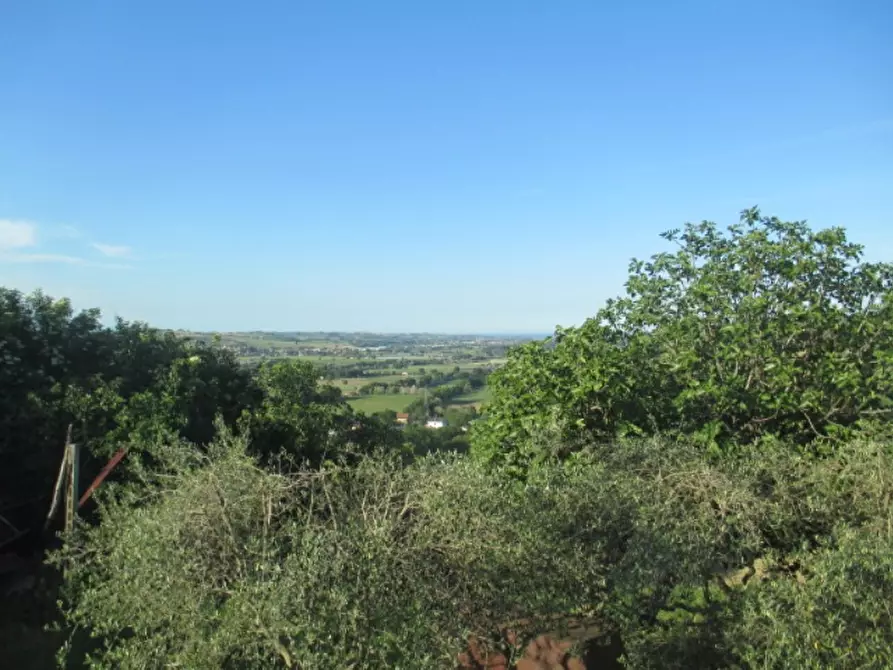 Immagine 5 di Rustico / casale in vendita  a Corinaldo