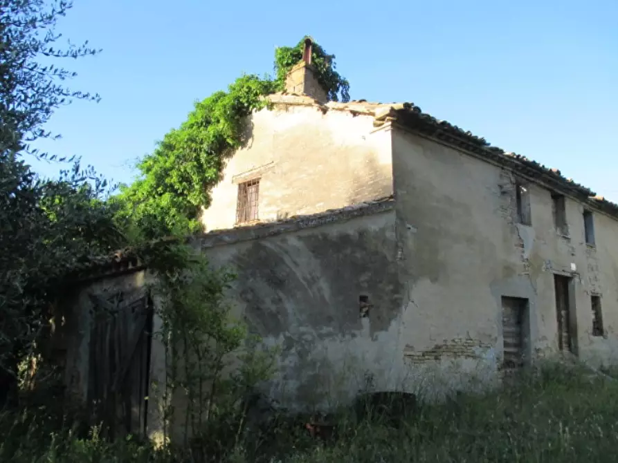 Immagine 6 di Rustico / casale in vendita  a Corinaldo