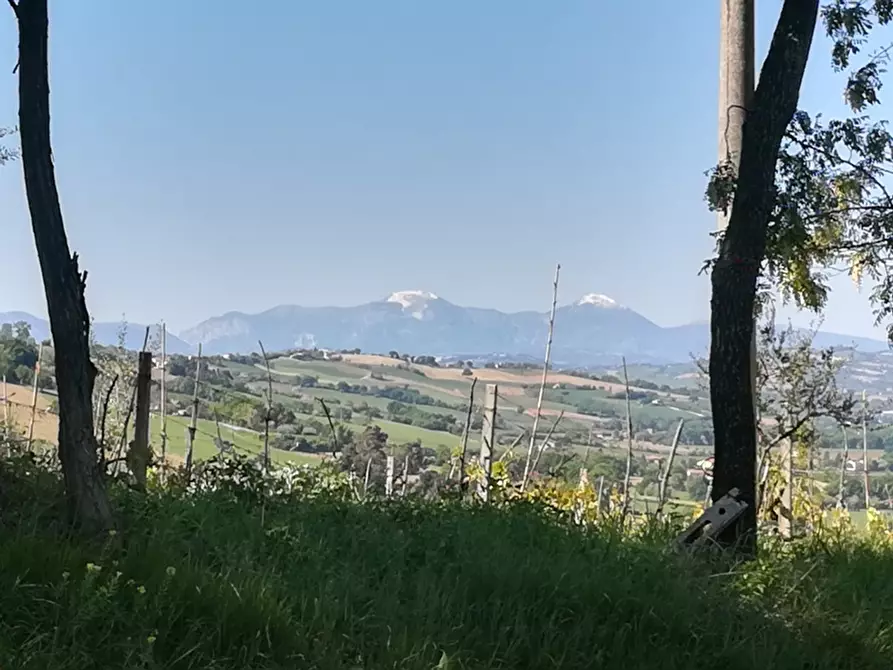 Immagine 8 di Rustico / casale in vendita  a Corinaldo