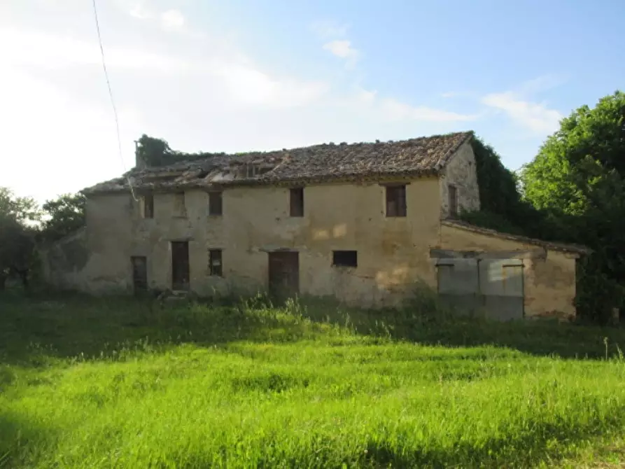 Immagine 9 di Rustico / casale in vendita  a Corinaldo