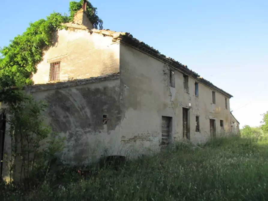 Immagine 10 di Rustico / casale in vendita  a Corinaldo