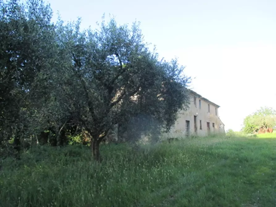 Immagine 13 di Rustico / casale in vendita  a Corinaldo